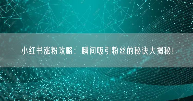 小红书涨粉攻略：瞬间吸引粉丝的秘诀大揭秘！
