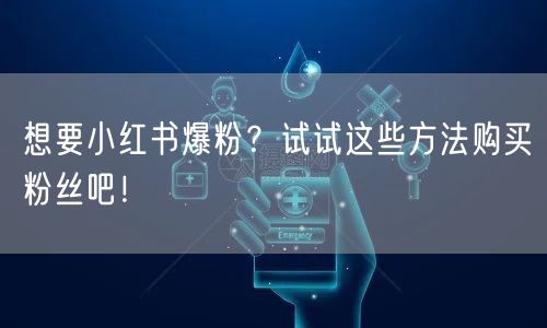 想要小红书爆粉？试试这些方法购买粉丝吧！