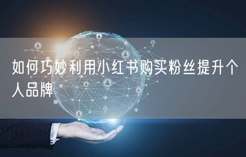如何巧妙利用小红书购买粉丝提升个人品牌