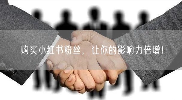购买小红书粉丝，让你的影响力倍增！