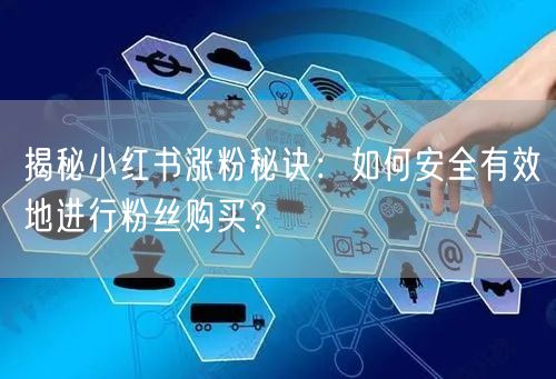 揭秘小红书涨粉秘诀：如何安全有效地进行粉丝购买？