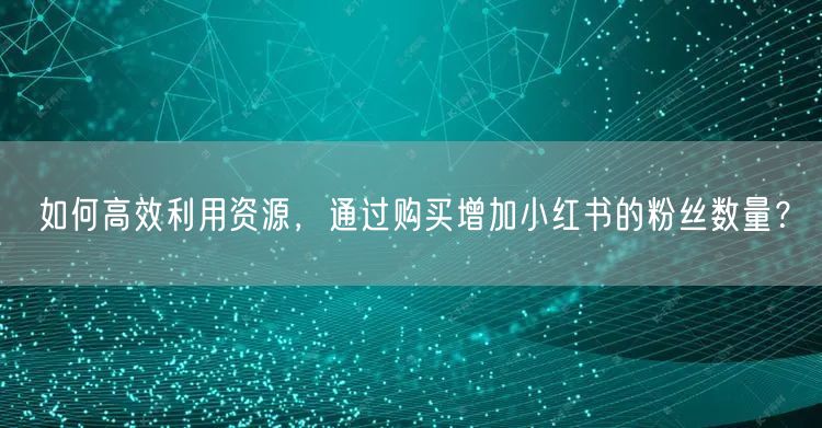 如何高效利用资源，通过购买增加小红书的粉丝数量？