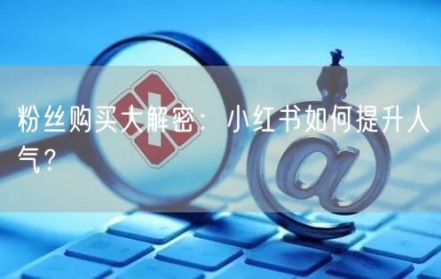 粉丝购买大解密：小红书如何提升人气？