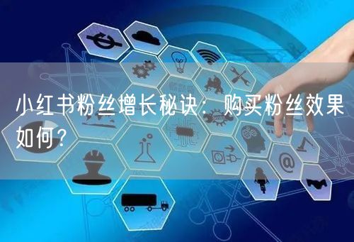小红书粉丝增长秘诀：购买粉丝效果如何？