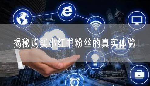 揭秘购买小红书粉丝的真实体验！