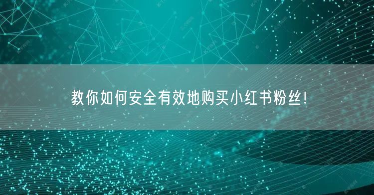 教你如何安全有效地购买小红书粉丝！