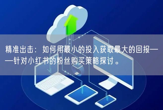 精准出击：如何用最小的投入获取最大的回报——针对小红书的粉丝购买策略探讨。