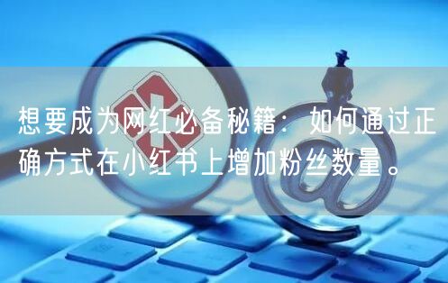 想要成为网红必备秘籍：如何通过正确方式在小红书上增加粉丝数量。