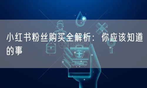 小红书粉丝购买全解析：你应该知道的事