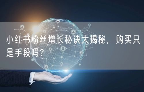 小红书粉丝增长秘诀大揭秘，购买只是手段吗？