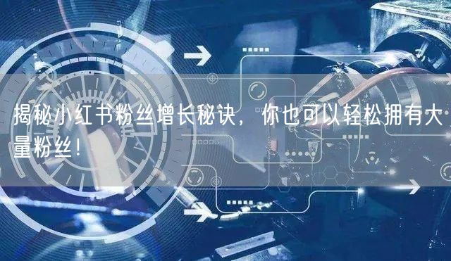 揭秘小红书粉丝增长秘诀，你也可以轻松拥有大量粉丝！