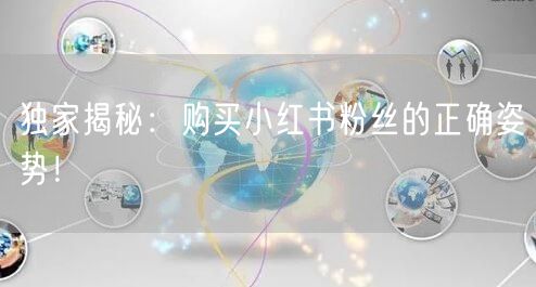 独家揭秘：购买小红书粉丝的正确姿势！