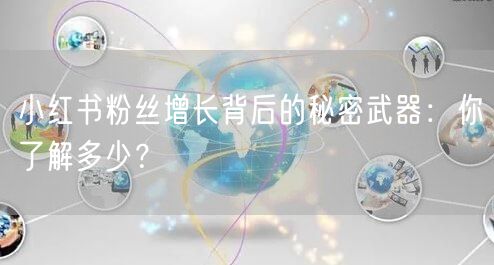 小红书粉丝增长背后的秘密武器：你了解多少？