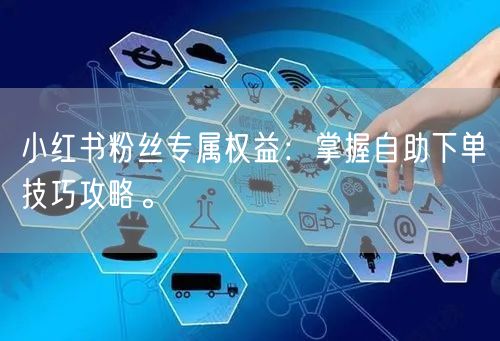 小红书粉丝专属权益：掌握自助下单技巧攻略。