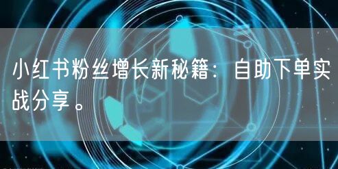 小红书粉丝增长新秘籍：自助下单实战分享。