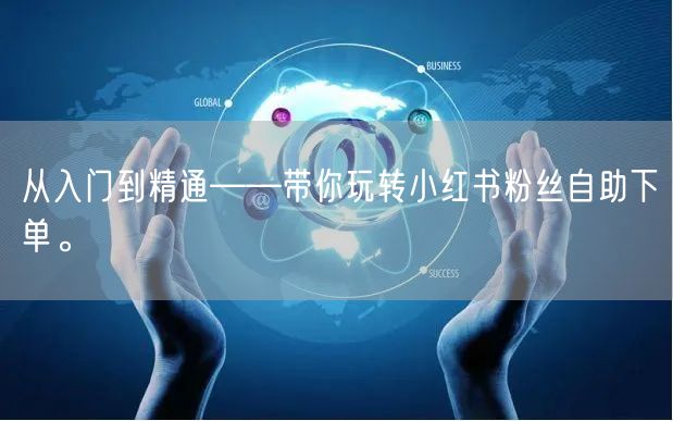 从入门到精通——带你玩转小红书粉丝自助下单。