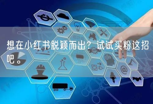想在小红书脱颖而出？试试买粉这招吧。