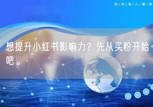 想提升小红书影响力？先从买粉开始吧。