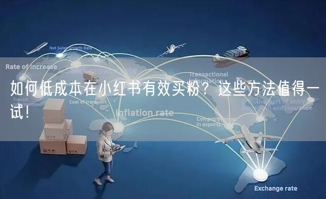 如何低成本在小红书有效买粉？这些方法值得一试！