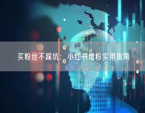 买粉丝不踩坑：小红书增粉实用指南