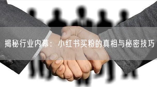 揭秘行业内幕：小红书买粉的真相与秘密技巧