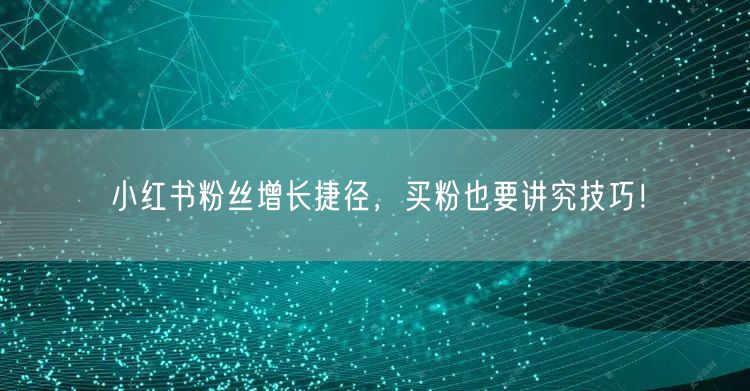 小红书粉丝增长捷径，买粉也要讲究技巧！