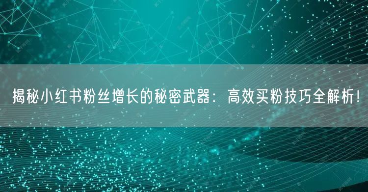 揭秘小红书粉丝增长的秘密武器：高效买粉技巧全解析！