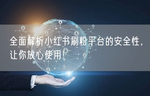 全面解析小红书刷粉平台的安全性，让你放心使用！