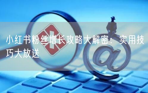 小红书粉丝增长攻略大解密：实用技巧大放送