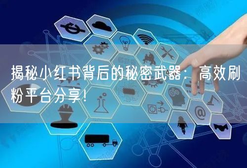 揭秘小红书背后的秘密武器：高效刷粉平台分享！