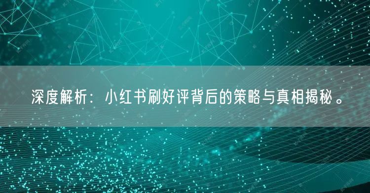 深度解析：小红书刷好评背后的策略与真相揭秘。