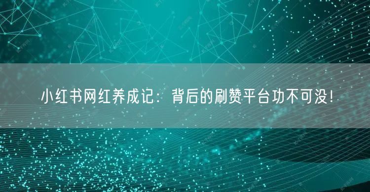 小红书网红养成记：背后的刷赞平台功不可没！