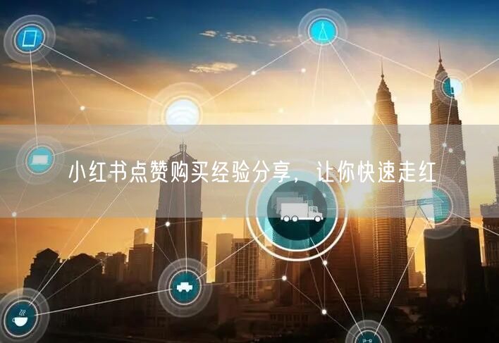 小红书点赞购买经验分享，让你快速走红