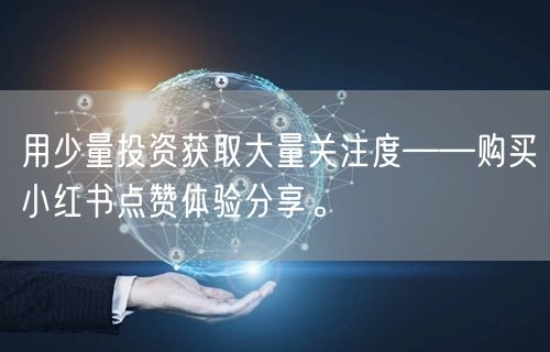 用少量投资获取大量关注度——购买小红书点赞体验分享。