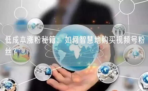 低成本涨粉秘籍：如何智慧地购买视频号粉丝？