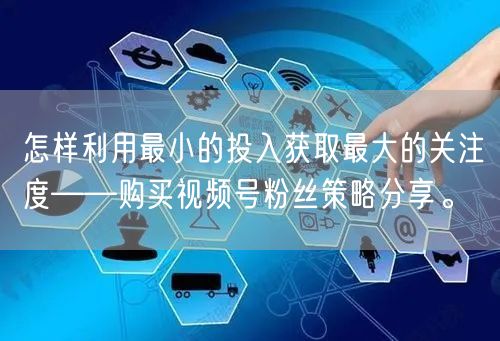 怎样利用最小的投入获取最大的关注度——购买视频号粉丝策略分享。