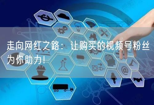 走向网红之路：让购买的视频号粉丝为你助力！