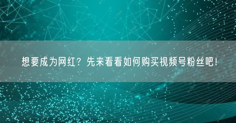 想要成为网红？先来看看如何购买视频号粉丝吧！