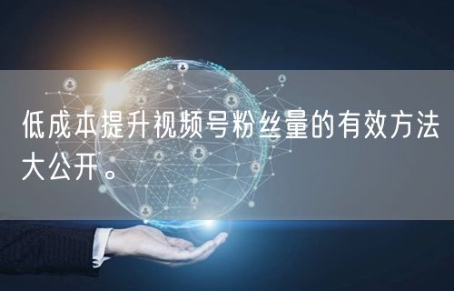 低成本提升视频号粉丝量的有效方法大公开。