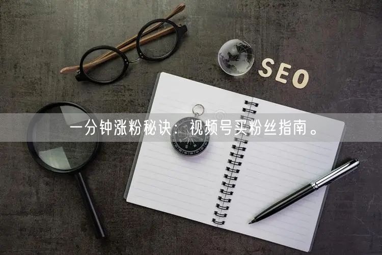 一分钟涨粉秘诀：视频号买粉丝指南。
