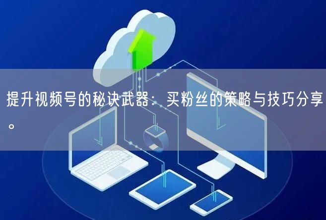 提升视频号的秘诀武器：买粉丝的策略与技巧分享。