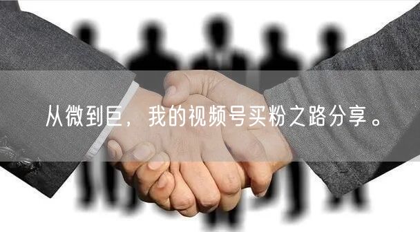 从微到巨，我的视频号买粉之路分享。