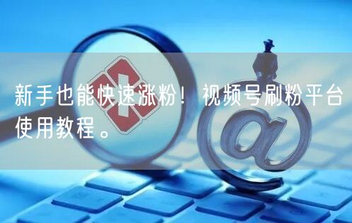 新手也能快速涨粉！视频号刷粉平台使用教程。