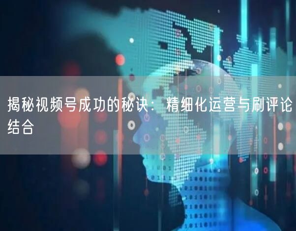 揭秘视频号成功的秘诀：精细化运营与刷评论结合