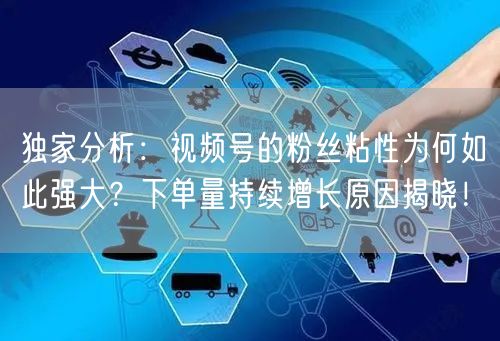 独家分析：视频号的粉丝粘性为何如此强大？下单量持续增长原因揭晓！