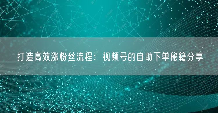 打造高效涨粉丝流程：视频号的自助下单秘籍分享