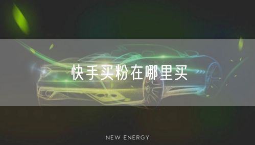 快手买粉在哪里买