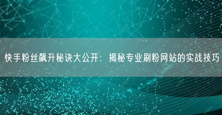 快手粉丝飙升秘诀大公开：揭秘专业刷粉网站的实战技巧