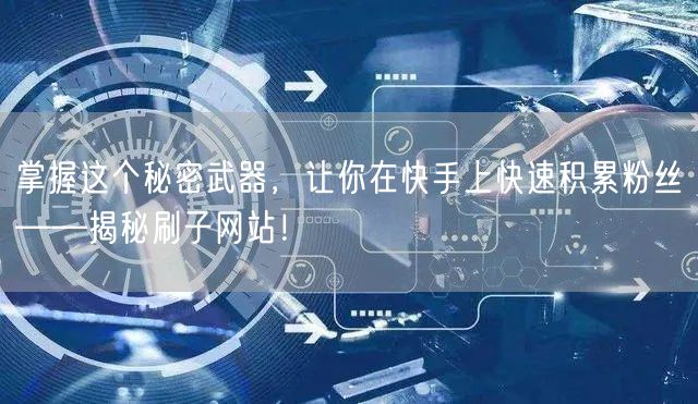掌握这个秘密武器，让你在快手上快速积累粉丝——揭秘刷子网站！