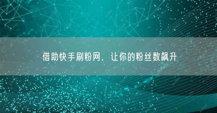借助快手刷粉网，让你的粉丝数飙升